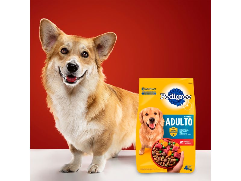 Alimento-Seco-para-Perro-Pedigree-Adulto-4kg-11-12846