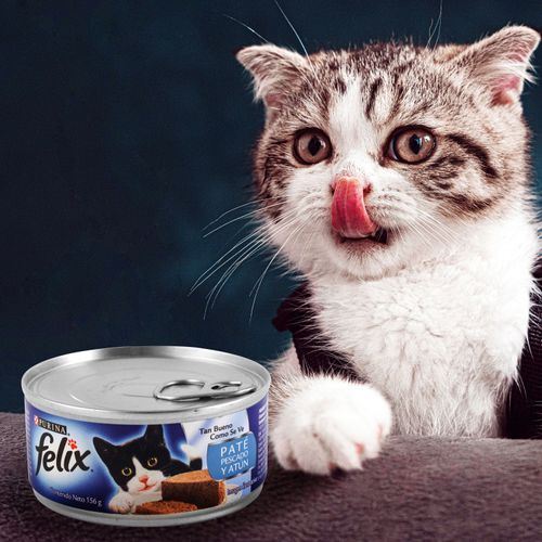 Purina Felix gato Adulto Paté de Pescado & Atún Salsa 156g (5.5oz)