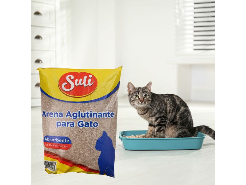 Arena-Suli-Aglutinante-Para-Gato-3000Gr-4-8341