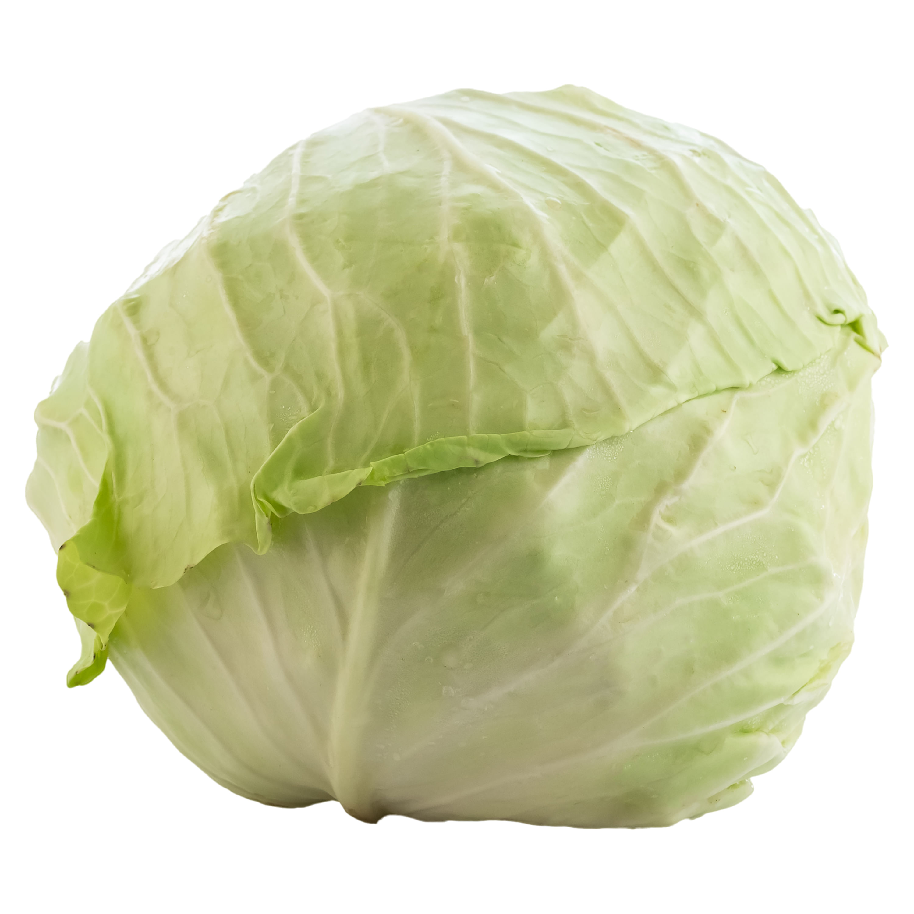 Comprar Repollo Hortifruti Verde -Precio indicado por libra | Walmart ...