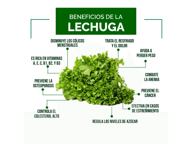 Lechuga-Fresse-Bolsa-3-51