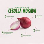 Cebolla-Morada-Libra-4-Unidades-Por-Lb-Aproximadamente-3-79