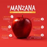 Manzana-Roja-Grande-Unidad-3-12769