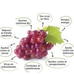 GTIN-0000000076722-03