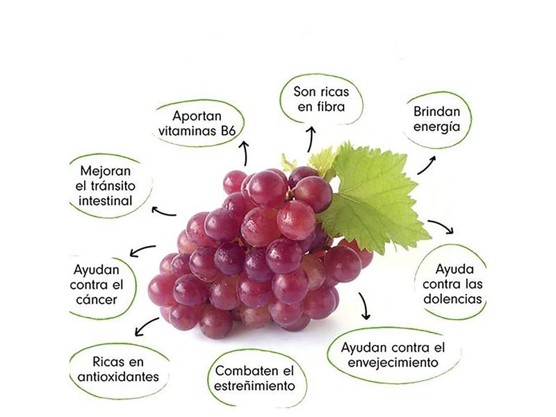 GTIN-0000000076722-03