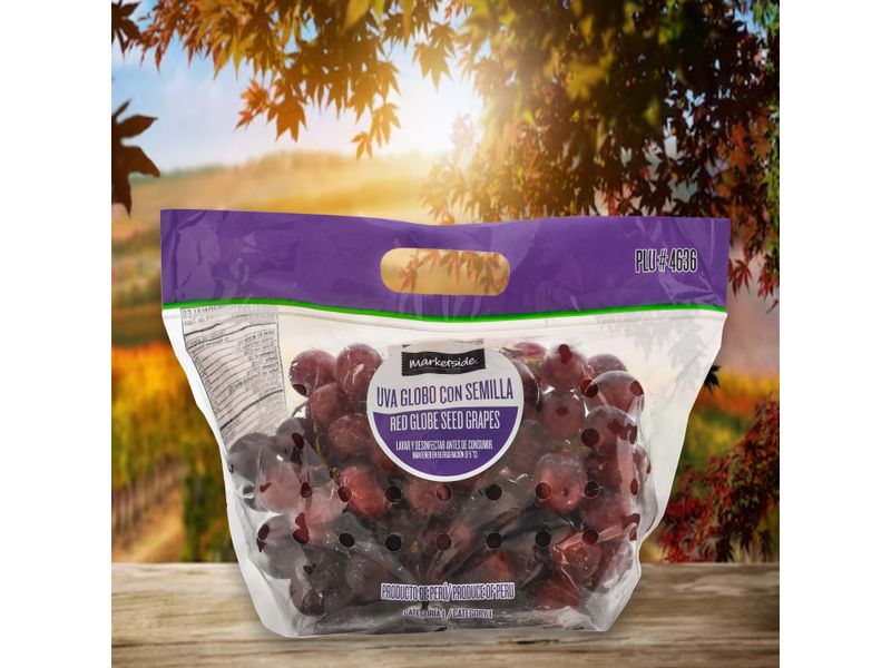 GTIN-0000000076722-04