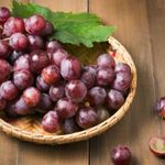 GTIN-0000000076722-05