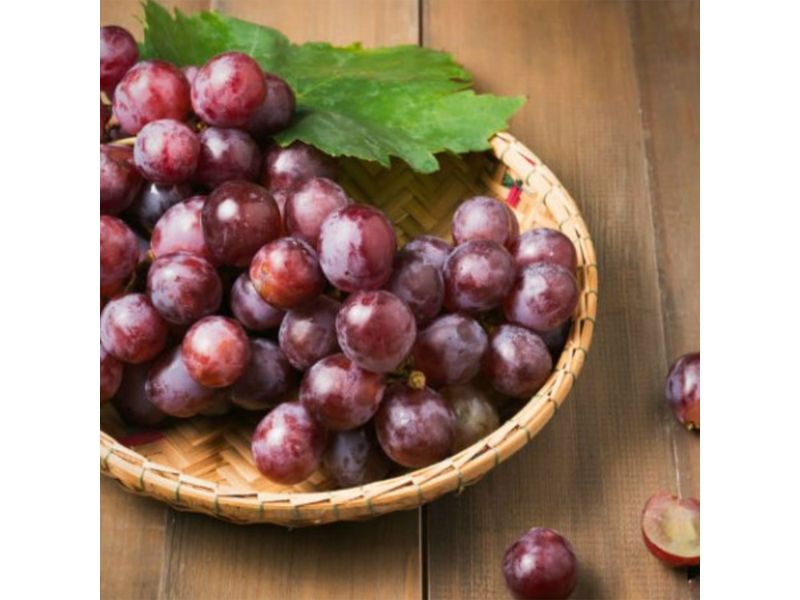 GTIN-0000000076722-05