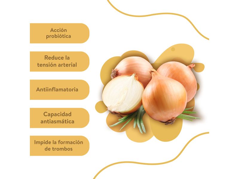 Cebolla-Amarilla-Hortifruti-en-Malla-4-libras-4-8044