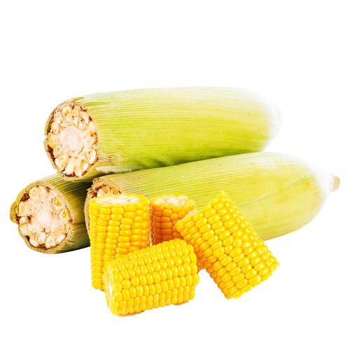 Elote Unidad