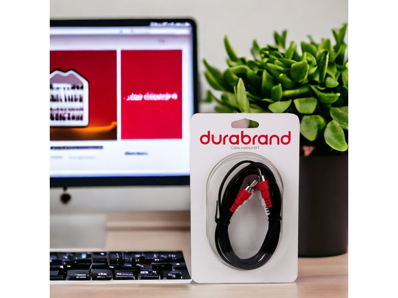 GTIN-0681131310611-03