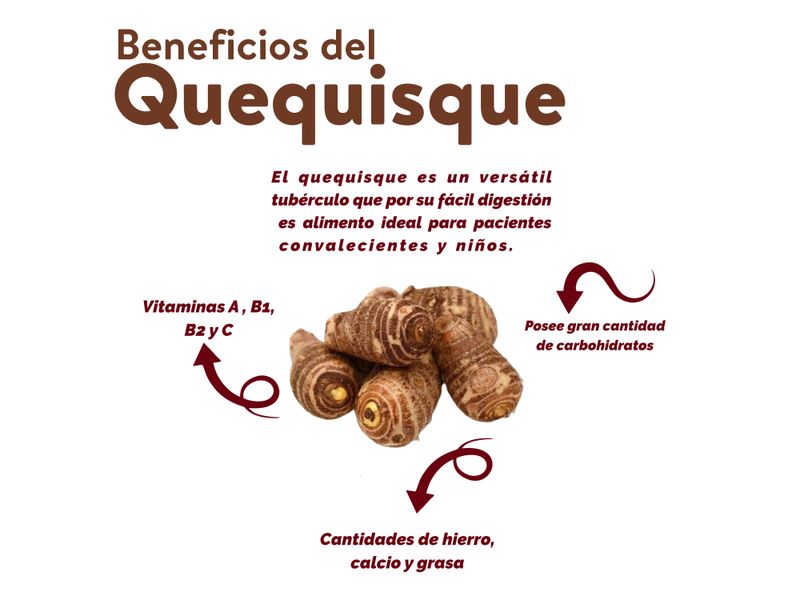 Quequisque-Lb-4-91