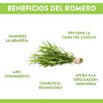 Romero-Hortifruti-Empacado-Bolsa-30gr-3-8041
