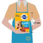 Alimento-Seco-para-Perro-Pedigree-Cachorro-7kg-3-2866