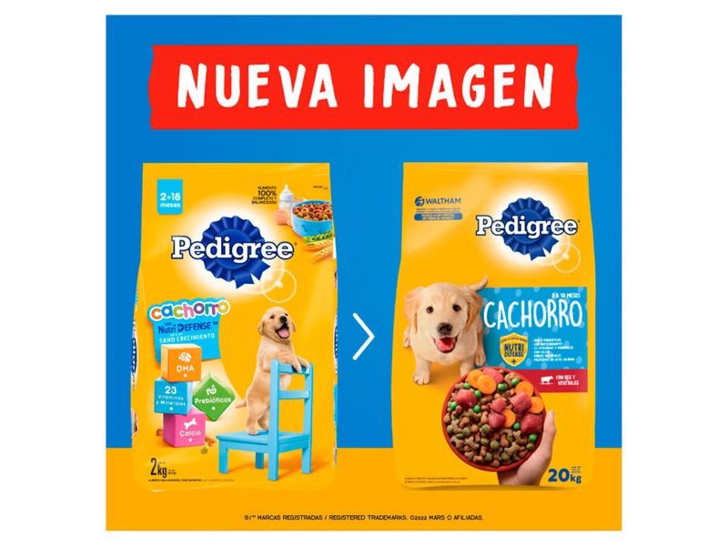 Alimento-Seco-para-Perro-Pedigree-Cachorro-7kg-10-2866