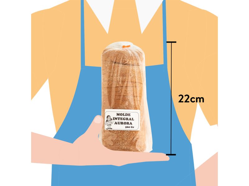 Pan-Aurora-Integral-Sin-Colesterol-560Gr-3-7260