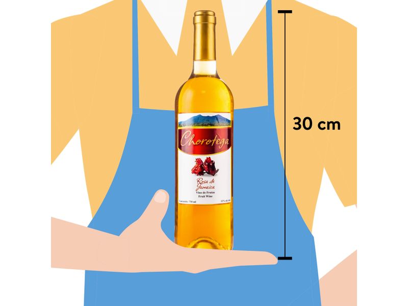 Vino-Chorotega-Rosa-De-Jamaica-750Ml-4-7332