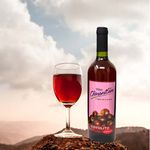 Vino-Chinantlan-De-Coyolito-750Ml-4-7347