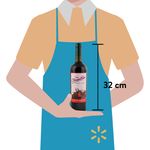 Vino-Chinantlan-De-Flor-De-Jamaica-750Ml-3-7348