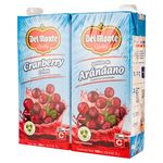 2-Pack-Jugo-Del-Monte-Arandanos-1000Ml-3-7386