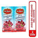 2-Pack-Jugo-Del-Monte-Arandanos-1000Ml-1-7386