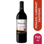 Vino-Tinto-Pe-asol-Cabernet-Sauvignon-750ml-1-11198