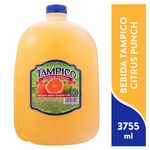 Bebida-Tampico-Citrus-Punch-3755ml-1-6072