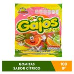 Gomitas-Guandy-Gajos-Citricos-100gr-1-22271