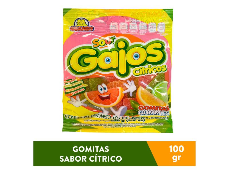 Gomitas-Guandy-Gajos-Citricos-100gr-1-22271