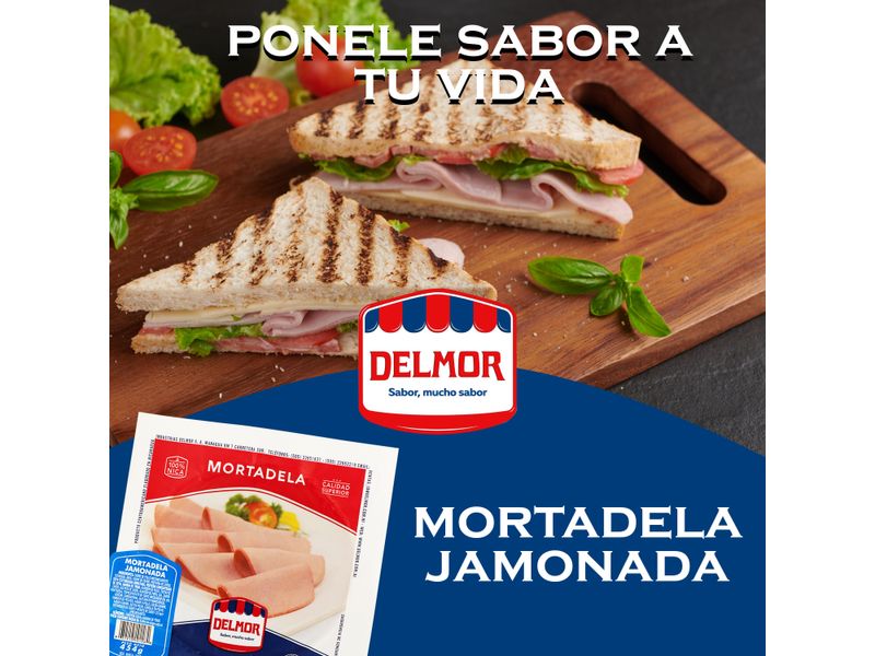 Mortadela-Jamonada-Delmor-454Gr-4-2390