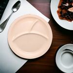 Plato-Best-Melamine-3-Divisione-3-20156