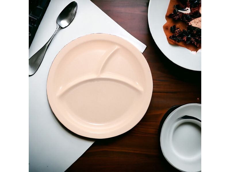 Plato-Best-Melamine-3-Divisione-3-20156