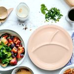 Plato-Best-Melamine-3-Divisione-4-20156