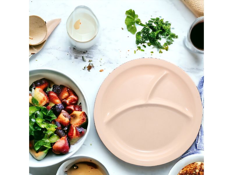 Plato-Best-Melamine-3-Divisione-4-20156