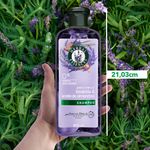 Shampoo-Herbal-Essences-Anti-Frizz-Lavanda-Aceite-de-Almendras-400-ml-10-23070