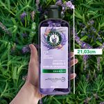 GTIN-7500435193733-10