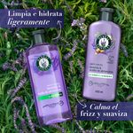 Shampoo-Herbal-Essences-Anti-Frizz-Lavanda-Aceite-de-Almendras-400-ml-9-23070