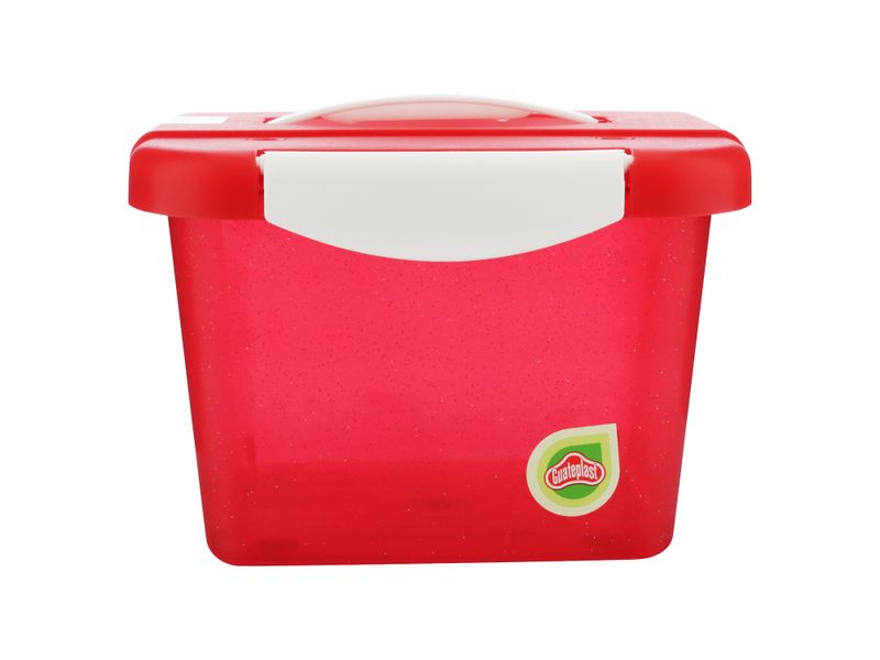 Caja-Organizate-4-Lt-C-Glitter-4-33058