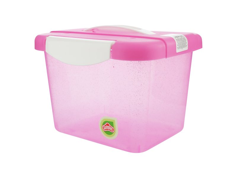 Caja-Organizate-4-Lt-C-Glitter-3-33058
