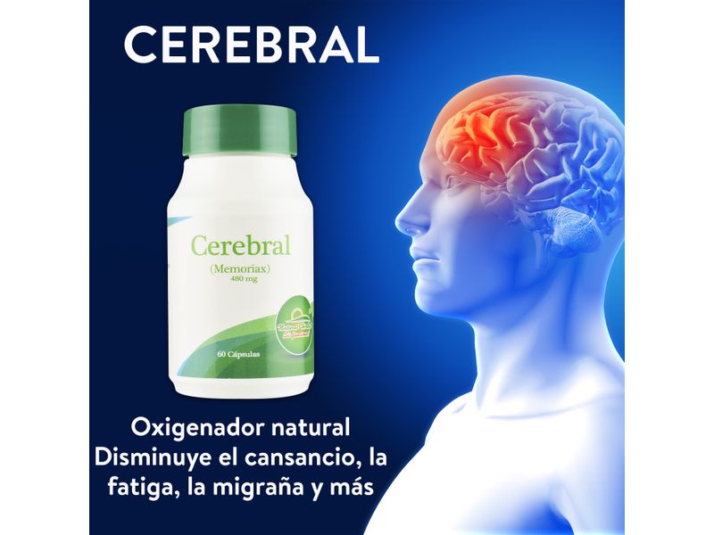 Cerebral-480Mg-Natural-Herbal-60Cap-Ea-5-29001