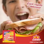 Mortadela-Cainsa-454gr-5-2566