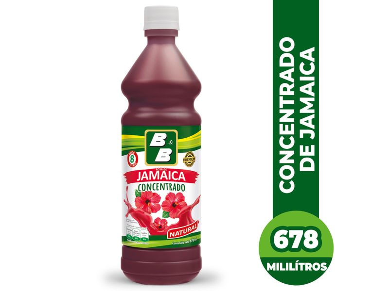 Concentrado-B-B-De-Jamaica-678ml-1-17479