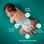 Pa-ales-Pampers-Baby-Dry-Talla-3-104-Uds-4-865
