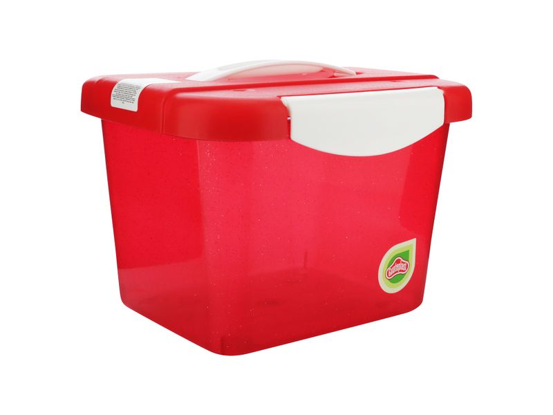Caja-Organizate-4-Lt-C-Glitter-2-33058
