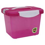 Caja-Organizate-4-Lt-C-Glitter-1-33058