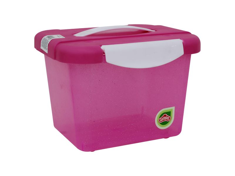 Caja-Organizate-4-Lt-C-Glitter-1-33058