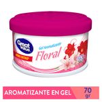 Aromatizante-Gel-Great-Value-Floral-70Gr-1-9622