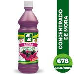 Concentrado-B-B-De-Mora-678ml-1-15977