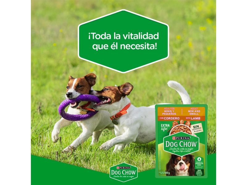 Alimento-H-medo-Adultos-Minis-Y-Peque-os-Purina-Dog-Chow-Cordero-100gr-5-23101