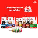 Alimento-Dogui-Perro-Cachorro-2-A-18-Meses-18Kg-5-16933